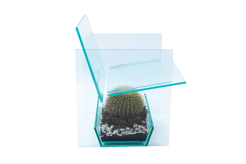 THISLEXIK's Chair Design Puts a Cactus Beneath Your Derriere