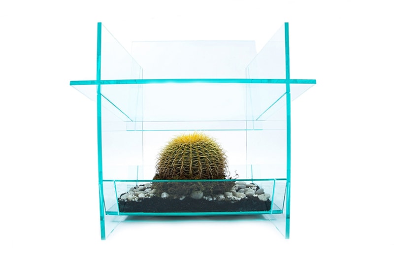 THISLEXIK's Chair Design Puts a Cactus Beneath Your Derriere