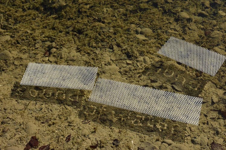 3-D Printed Haikus Visible Through Water Shadows