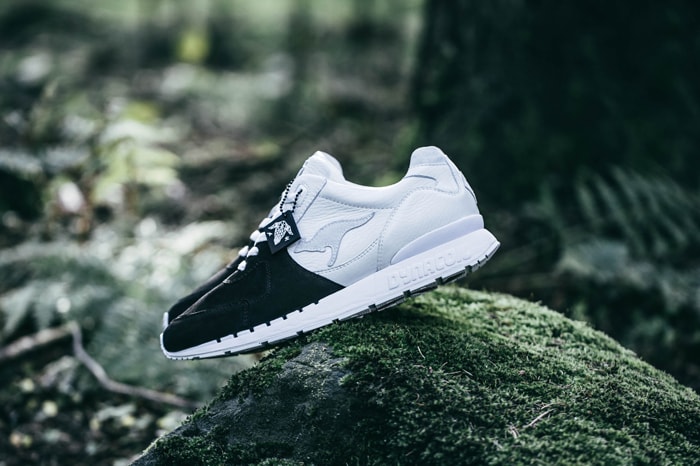 43einhalb KangaROOS Coil R2 Ovis