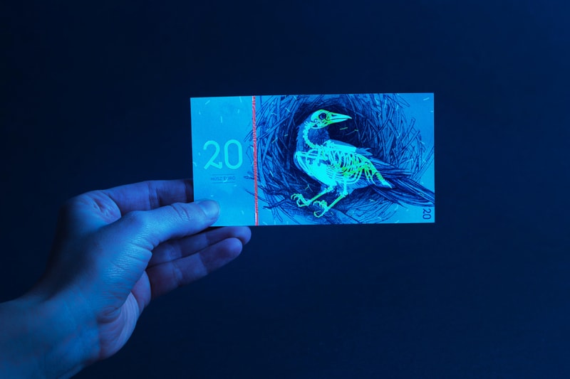 Euro Currency Design by Art Student