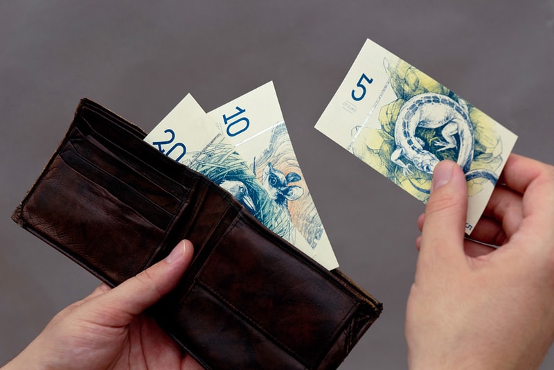 Euro Currency Design by Art Student