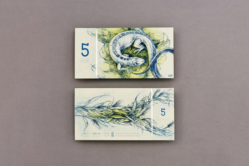 Euro Currency Design by Art Student