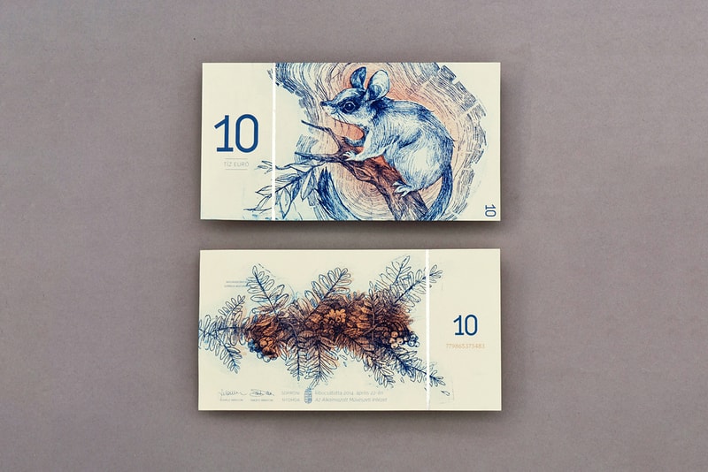Euro Currency Design by Art Student