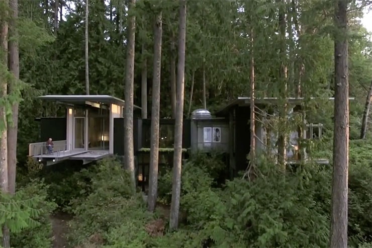 Jim Olson's Stunning Treetop Residence Serves as a Bridge Between Nature and Humans