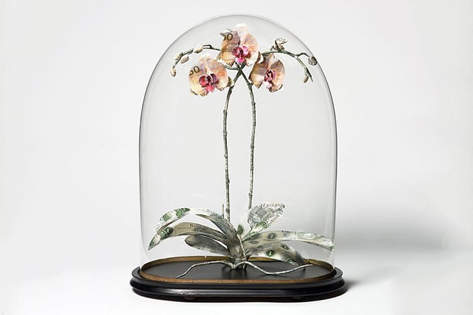 The Art of Money: Plant Sculptures That Are Made of Cash