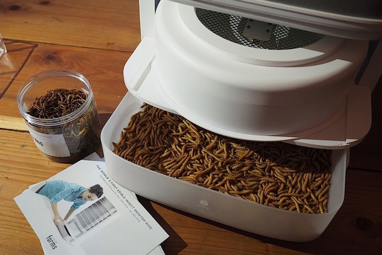Farm a Lifetime's Supply of Edible Mealworms With This Desktop Hive