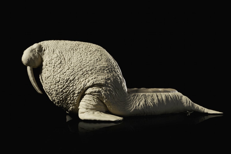 Maximo Riera Animal Chair Collection