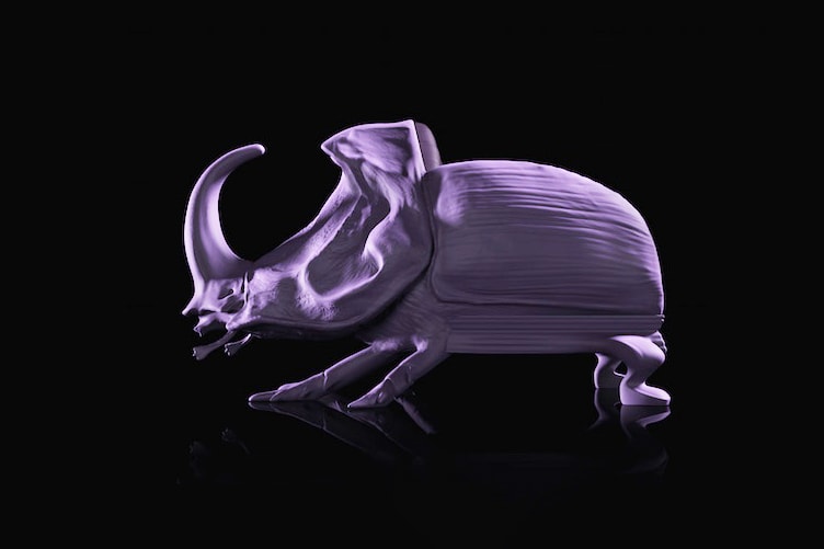 Maximo Riera Animal Chair Collection