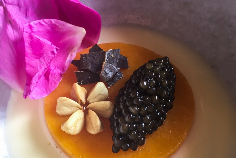 Noma Six Hour Molecular Gastronomy Meal