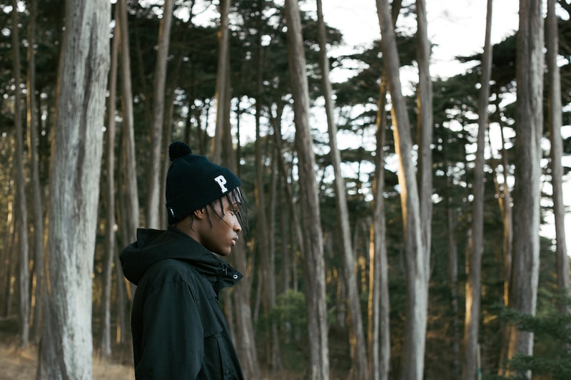 Pink Dolphin 2015 Holiday