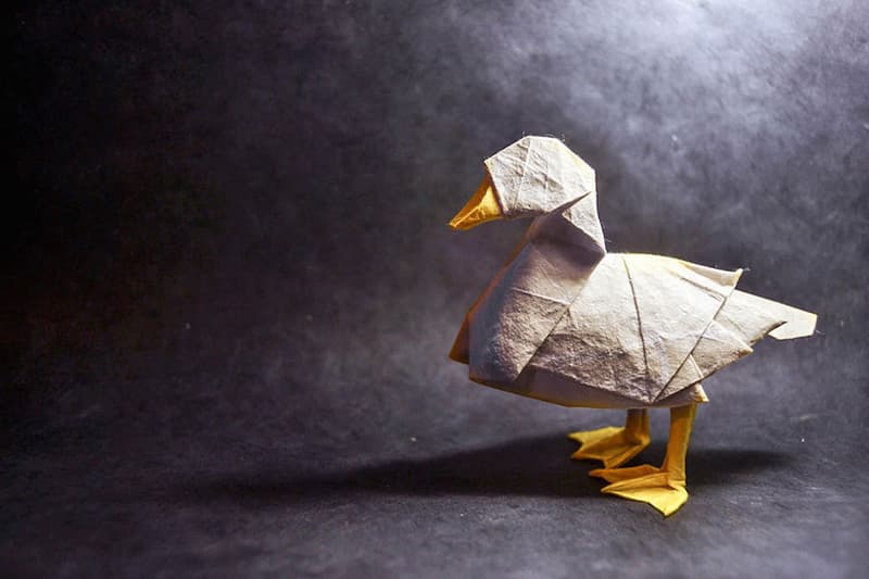 Incredibly Realistic Origami by Gonzalo Garcia Calvo