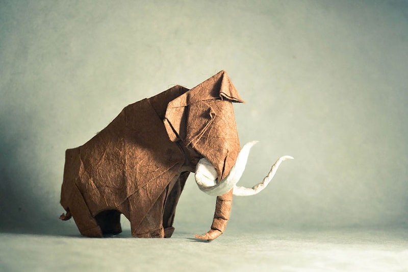 Incredibly Realistic Origami by Gonzalo Garcia Calvo