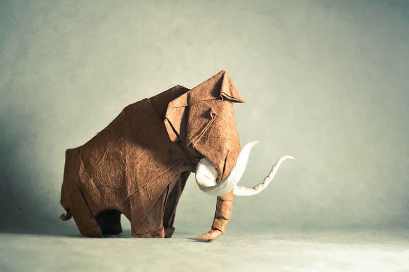 Incredibly Realistic Origami by Gonzalo Garcia Calvo