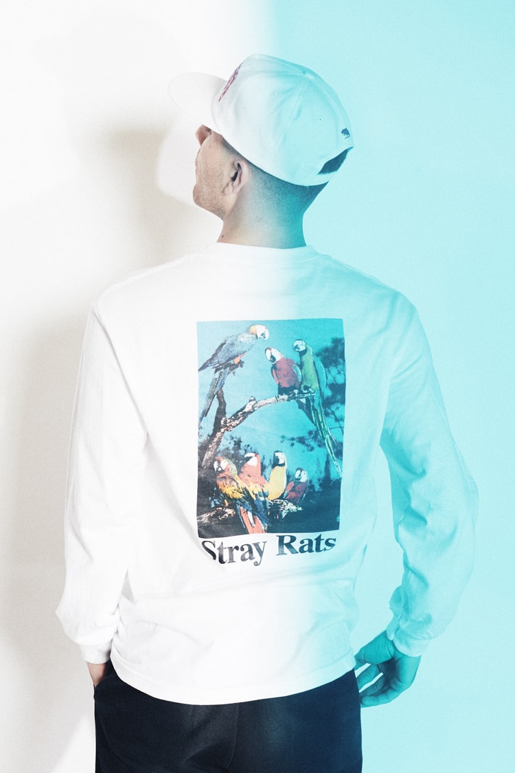 STRAY RATS 2015 Fall Winter Lookbook