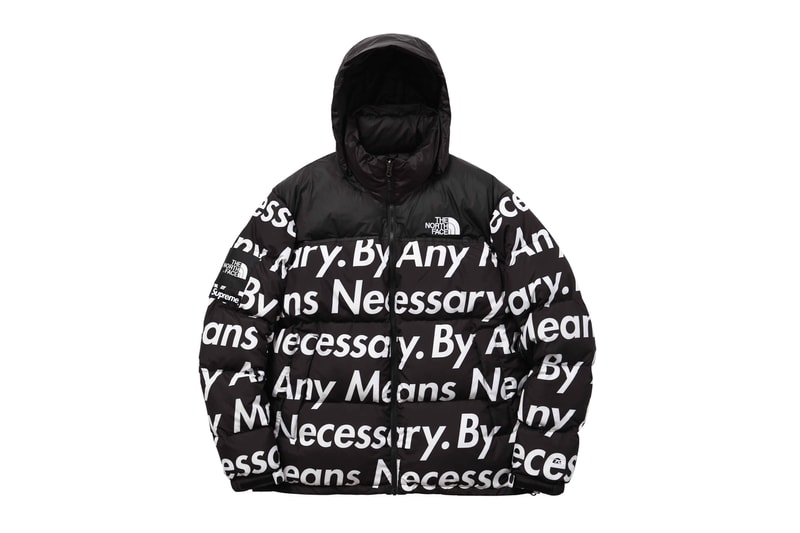 Supreme Supreme x The North Face by any means necessary