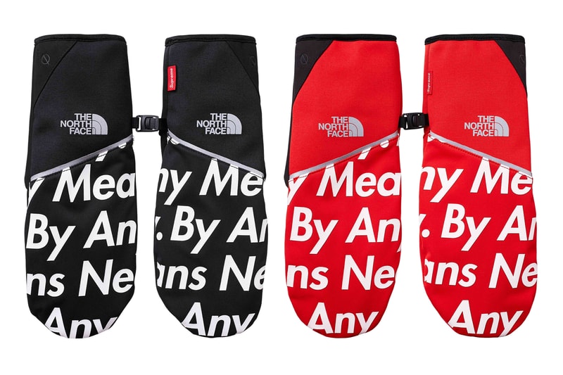 Supreme x north face by any means necessary | designer