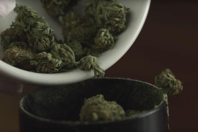 Weed-Infused Turkey May Be the One Thing You're Thankful for This Thanksgiving