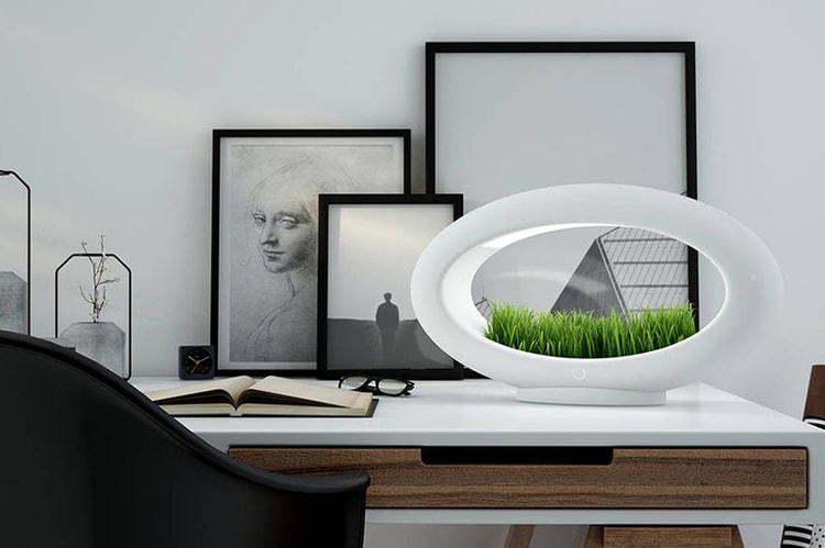 The Grasslamp Is a Sleek and Green Desktop Garden