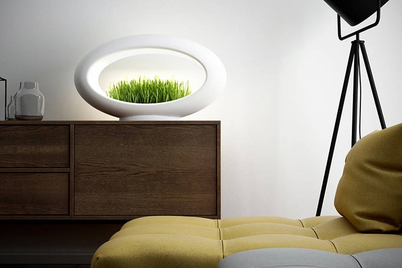 Grasslamp Desktop Garden
