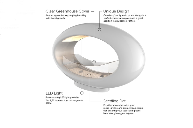 Grasslamp Desktop Garden