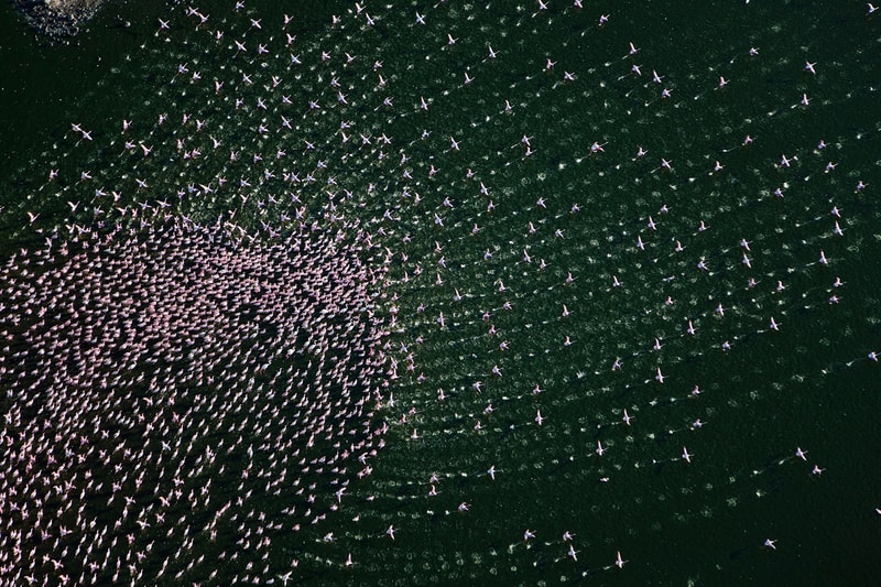 National Geographic's 2015 Roundup of Greatest Travel Photos