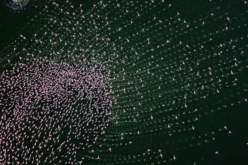 National Geographic's 2015 Roundup of Greatest Travel Photos