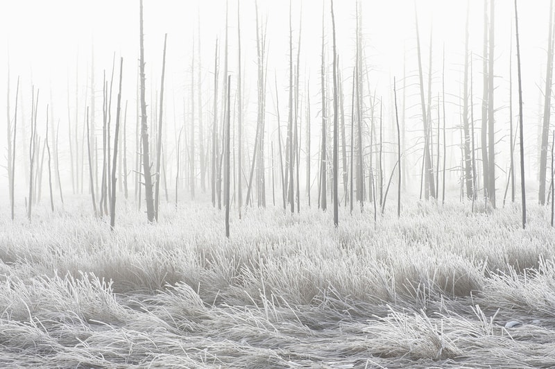 National Geographic's 2015 Roundup of Greatest Travel Photos