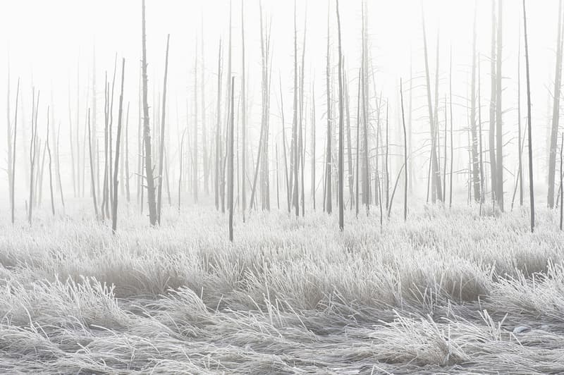 National Geographic's 2015 Roundup of Greatest Travel Photos