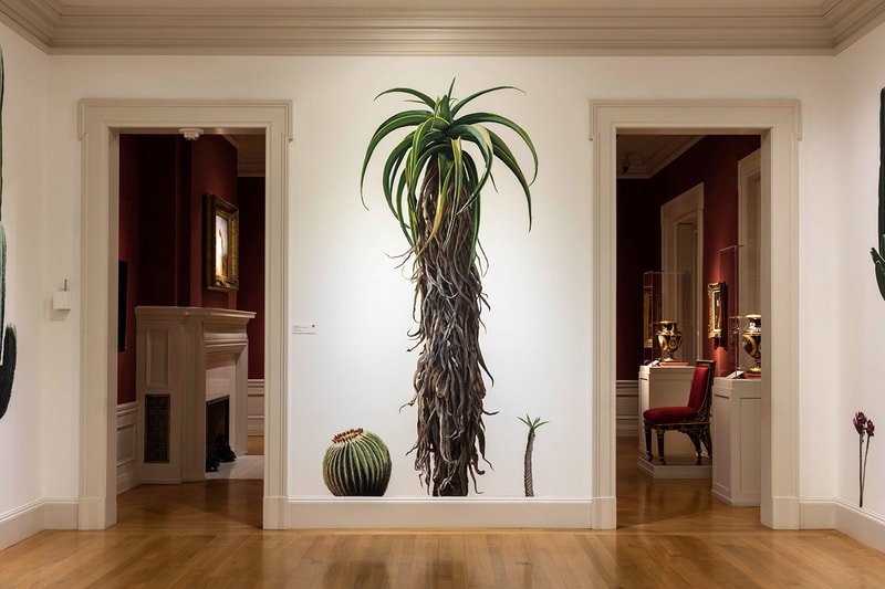 Alex Israel and the Huntington's Classical Collection