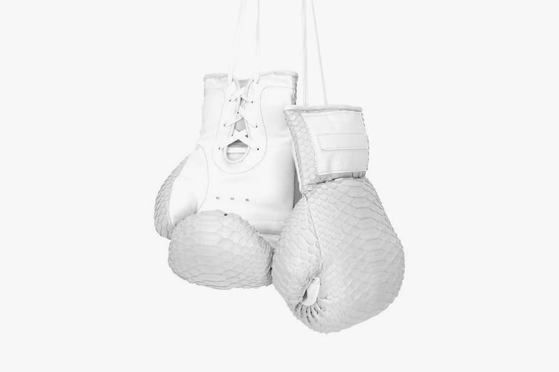 snakeskin boxing gloves