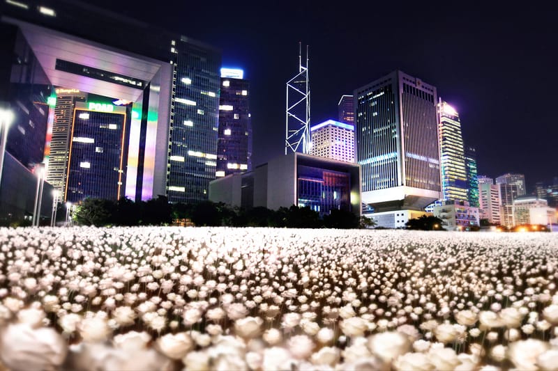 Hong Kong to Be Covered in Thousands of Glowing Flowers in Massive Art Installation