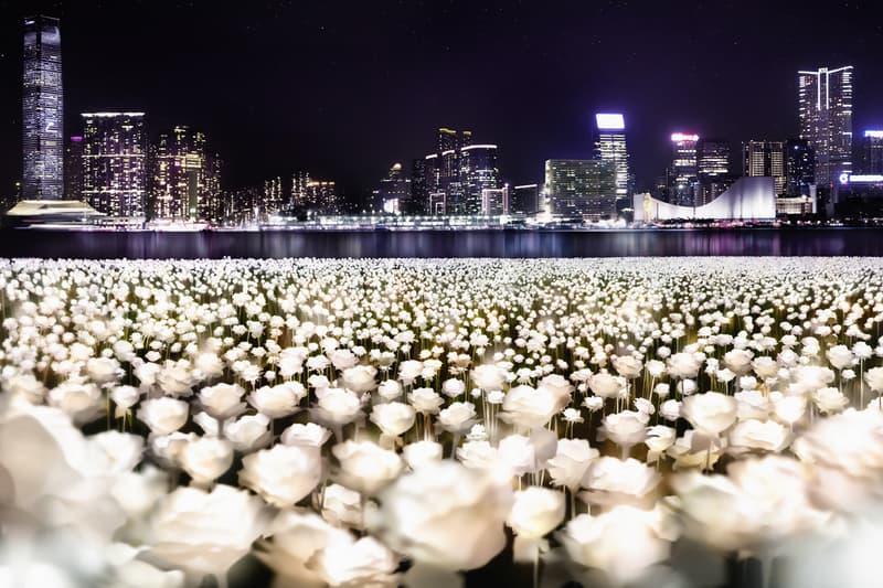Light Rose Garden Visits Hong Kong