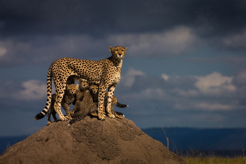 2016 Sony World Photography Awards