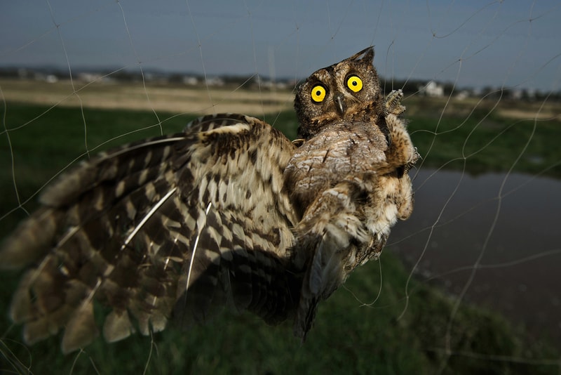 2016 Sony World Photography Awards