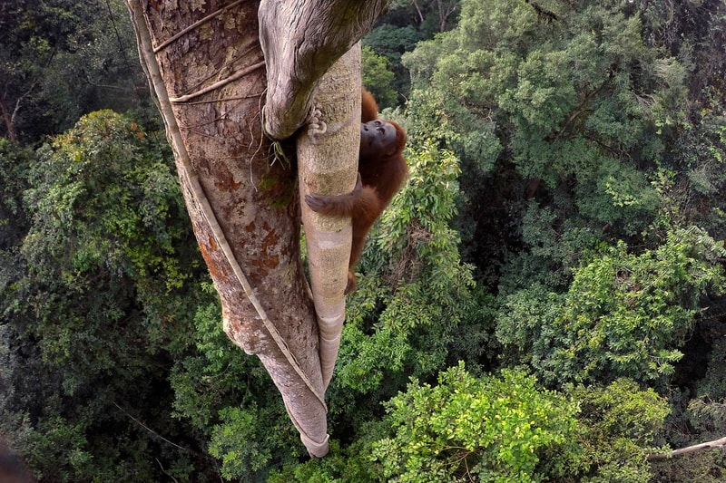 2016 World Press Photo Contest Winners
