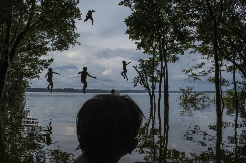 2016 World Press Photo Contest Winners