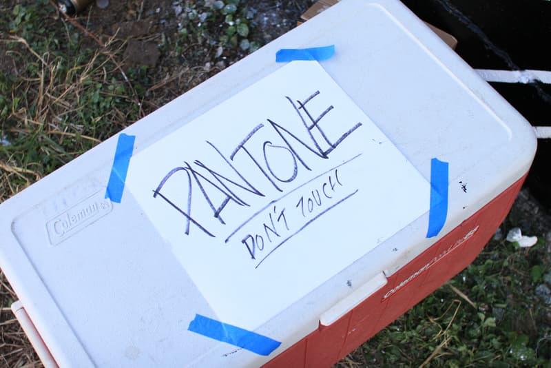 Felipe Pantone Paints POW! WOW! Hawaii