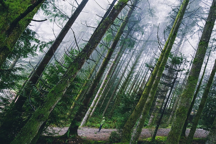 Exceptional Photography From the HYPEBEAST Forums: January 2016