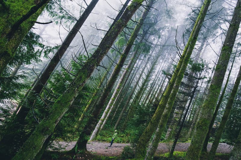 Exceptional Photography from the HYPEBEAST Forums: January 2016