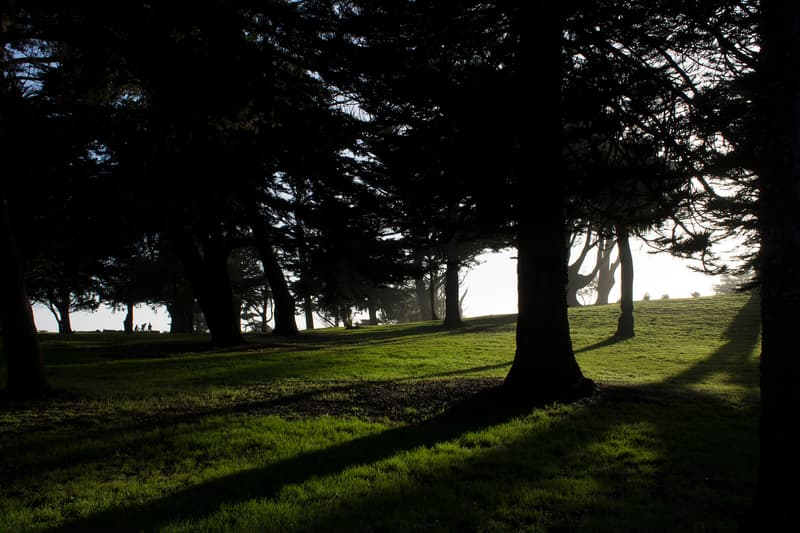 Exceptional Photography from the HYPEBEAST Forums: January 2016