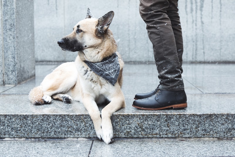 Nisolo Emilio Chukka with Conner Youngblood 