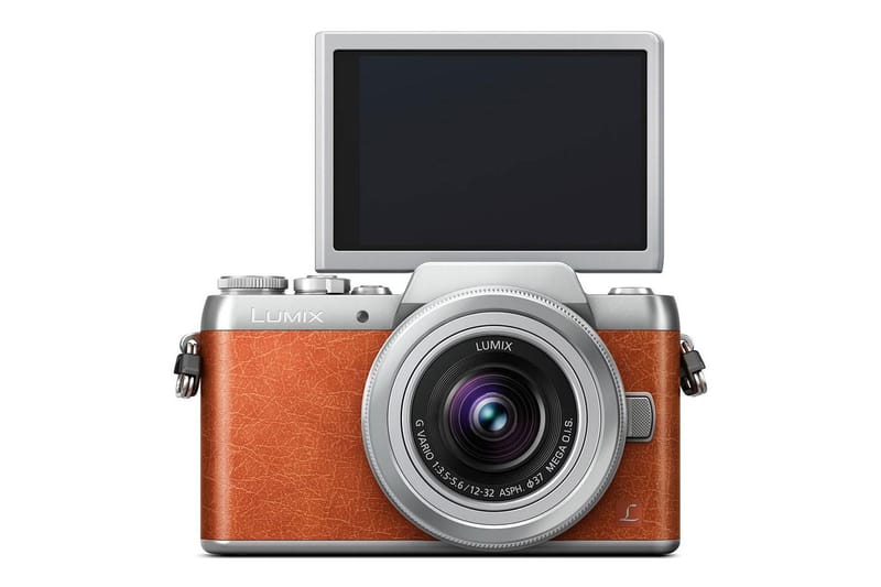 The Panasonic Lumix GF8 Is Selfie-Friendly
