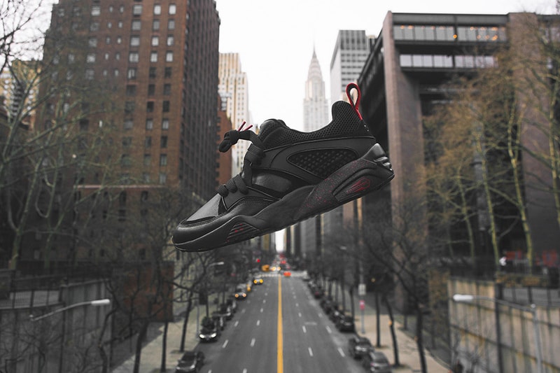 RISE PUMA Collaboration