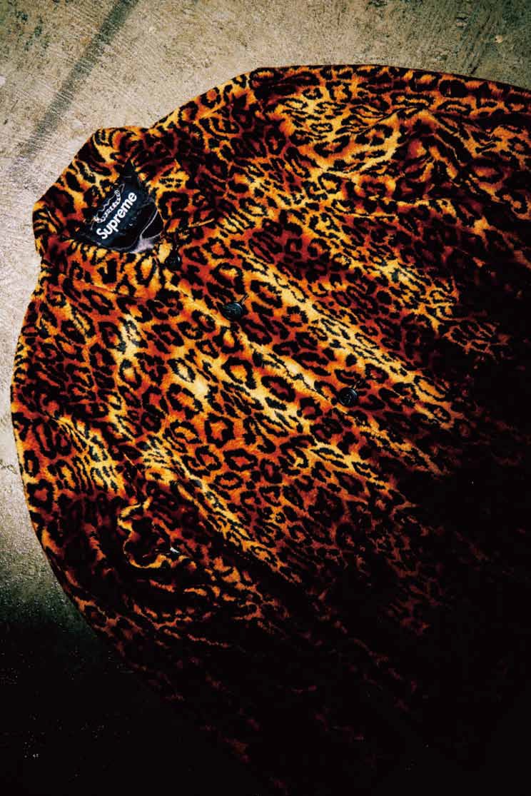 Supreme Vans 2016 Spring Summer Editorial in PRODISM