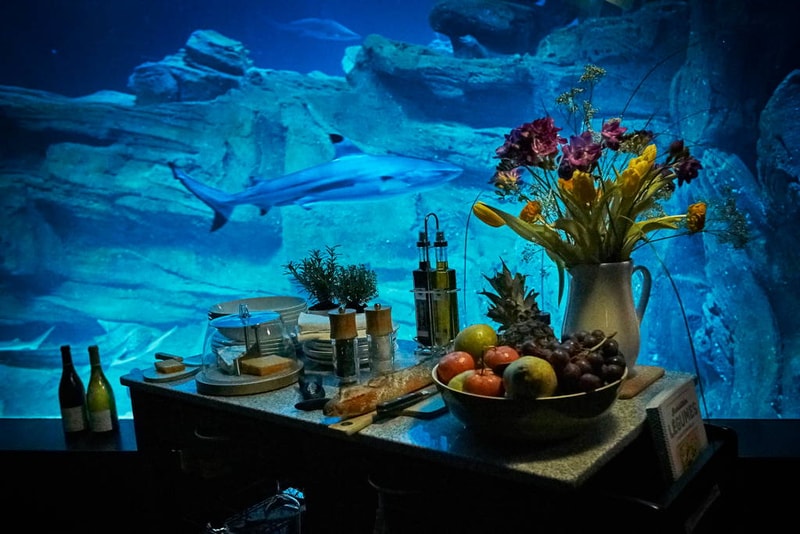 You Can Spend the Night at the Aquarium de Paris in the Shark Aquarium Thanks to airbnb