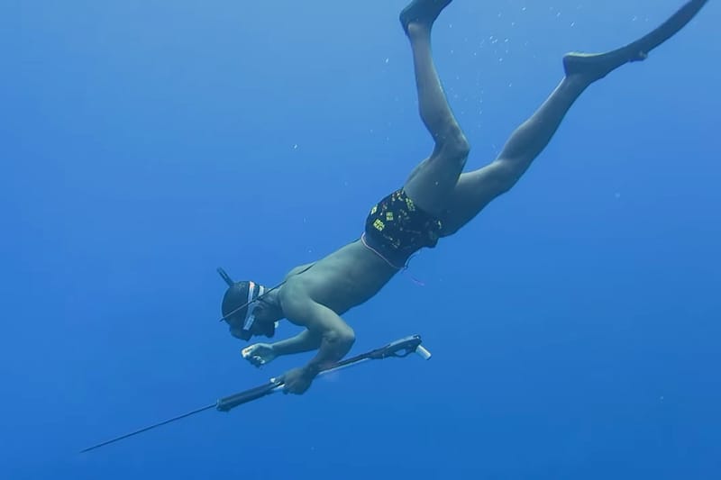 How to Catch and Cook Your Own Lionfish