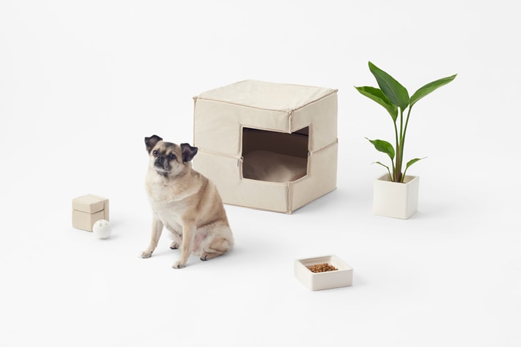 nendo's Cubic Pet Goods Are Perfect for the Modern Minimalist Pooch