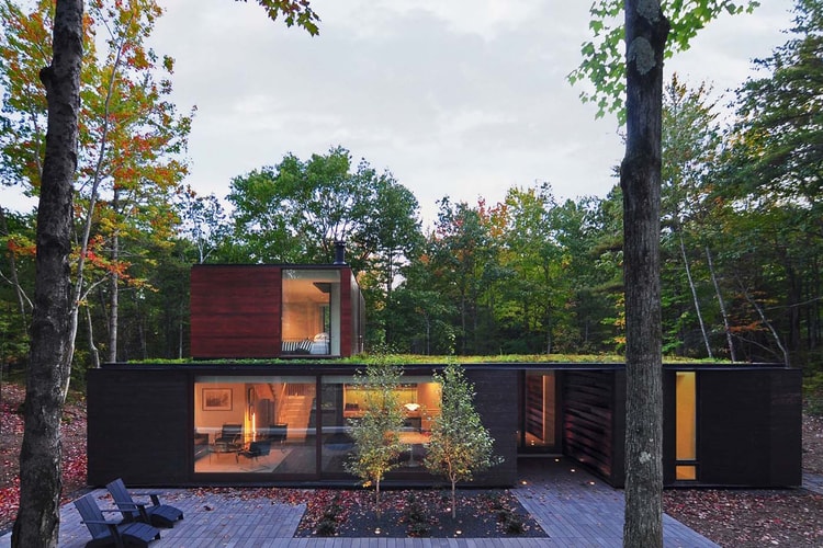 This House in the Woods Is Built to Resemble Tree Bark