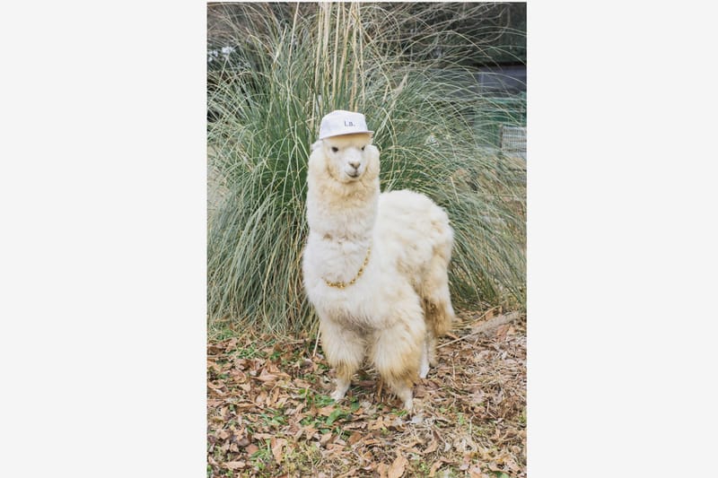 UNITED ARROWS & SONS 'Sons Magazine' Issue 2